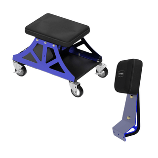 Black and Blue Vyper Low Pro with Back Rest