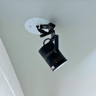 Dimmable LED Paint Correction Light