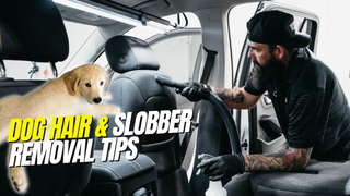 How To Remove Dog Hair & Odors From Your Car Like a Pro