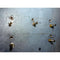 MaxJax Epoxy Anchor Bolt Kit - Drop-In Epoxy Anchor Bolts - Car Supplies WarehouseMaxJaxliftlift accessorieslift accessory